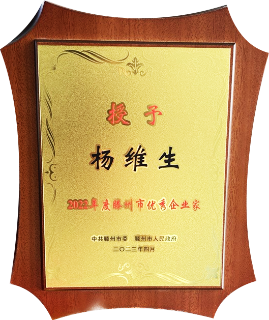 凯发k8一触即发董事长荣获“滕州市优秀企业家”表彰